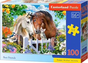 Puzzle Castorland 100 dílků premium - Nejlepší přá