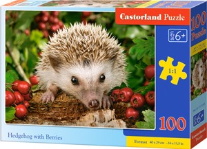 Puzzle Castorland 100 dílků premium - Ježek s ovoc