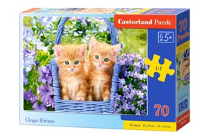 Puzzle Castorland 70 dílků premium - Zrzavá koťata