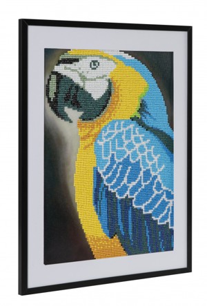 Diamantový obrázek - papoušek 30x40cm