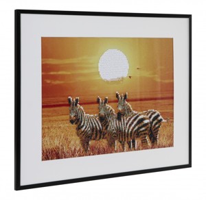 Diamantový obrázek - zebra, 40x50cm