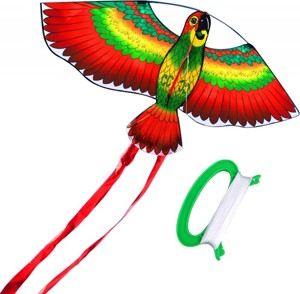 Létající drak jednosňůrový - papoušek