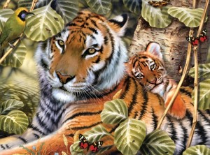 Malování podle čísel - Senior 40x30cm Tygr a mládě
