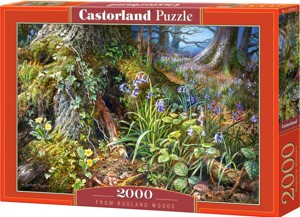 Puzzle 2000 - CASTORLAND Z ruského lesa