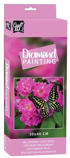 Diamantové malování 30x40cm Motýl