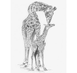 Malování podle čísel SKICOVACÍMI TUŽKAMI Žirafa