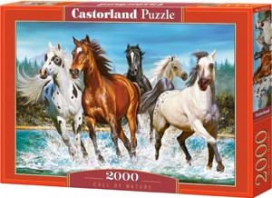 Puzzle 2000 - CASTORLAND Běžící koně